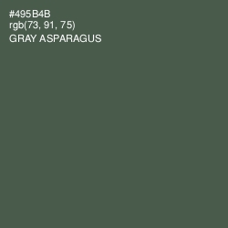 #495B4B - Gray Asparagus Color Image